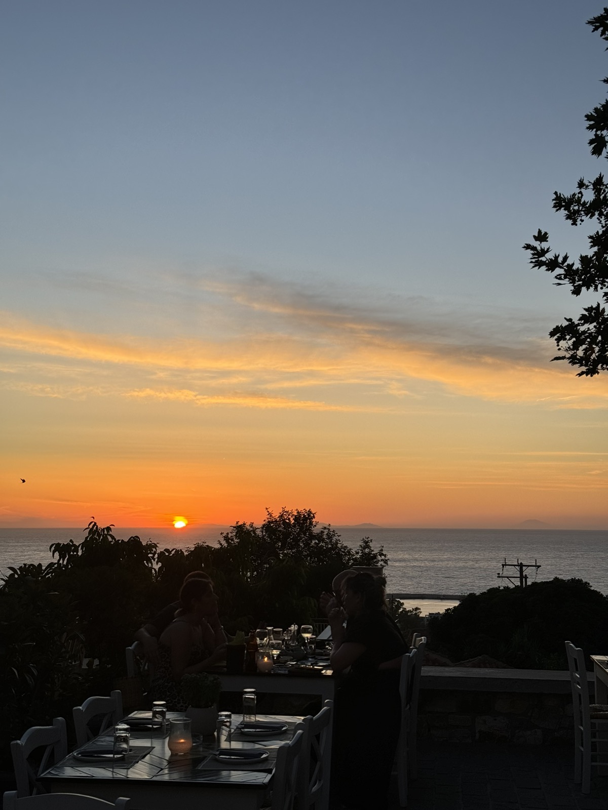 viber_image_2024-07-20_06-49-15-317